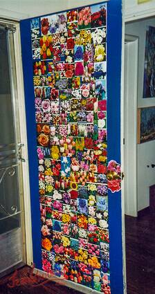 Door Collage Seed Catalogs