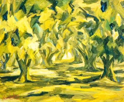 Olive Grove