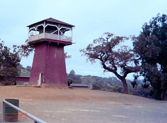 Los Altos Hills, 1985