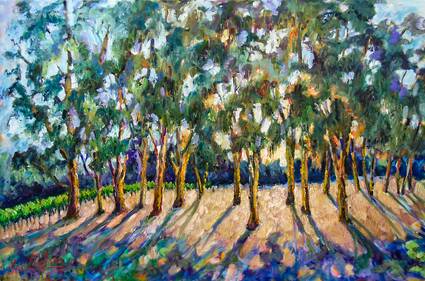 Eucalyptus Grove