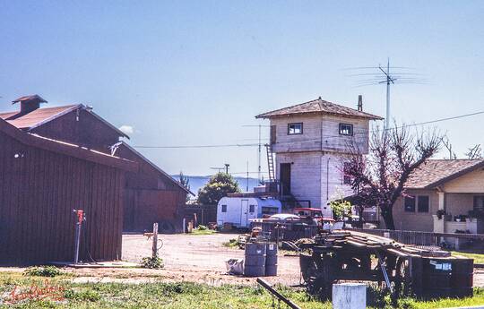 Morgan Hill, August 1981