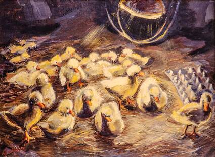 Ducklings Under a Brood Lamp