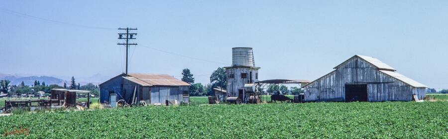 Morgan Hill, July 1975